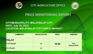 Price Monitoring Report as of July 19, 2022